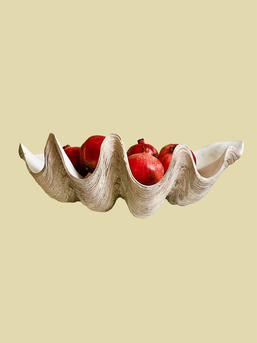 Bientôt Clam Shell 52cm