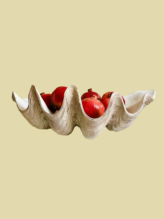 Bientôt Clam Shell 52cm